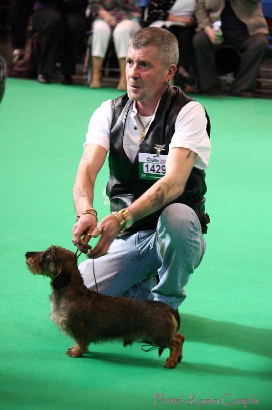 Crufts2011_2 701.jpg